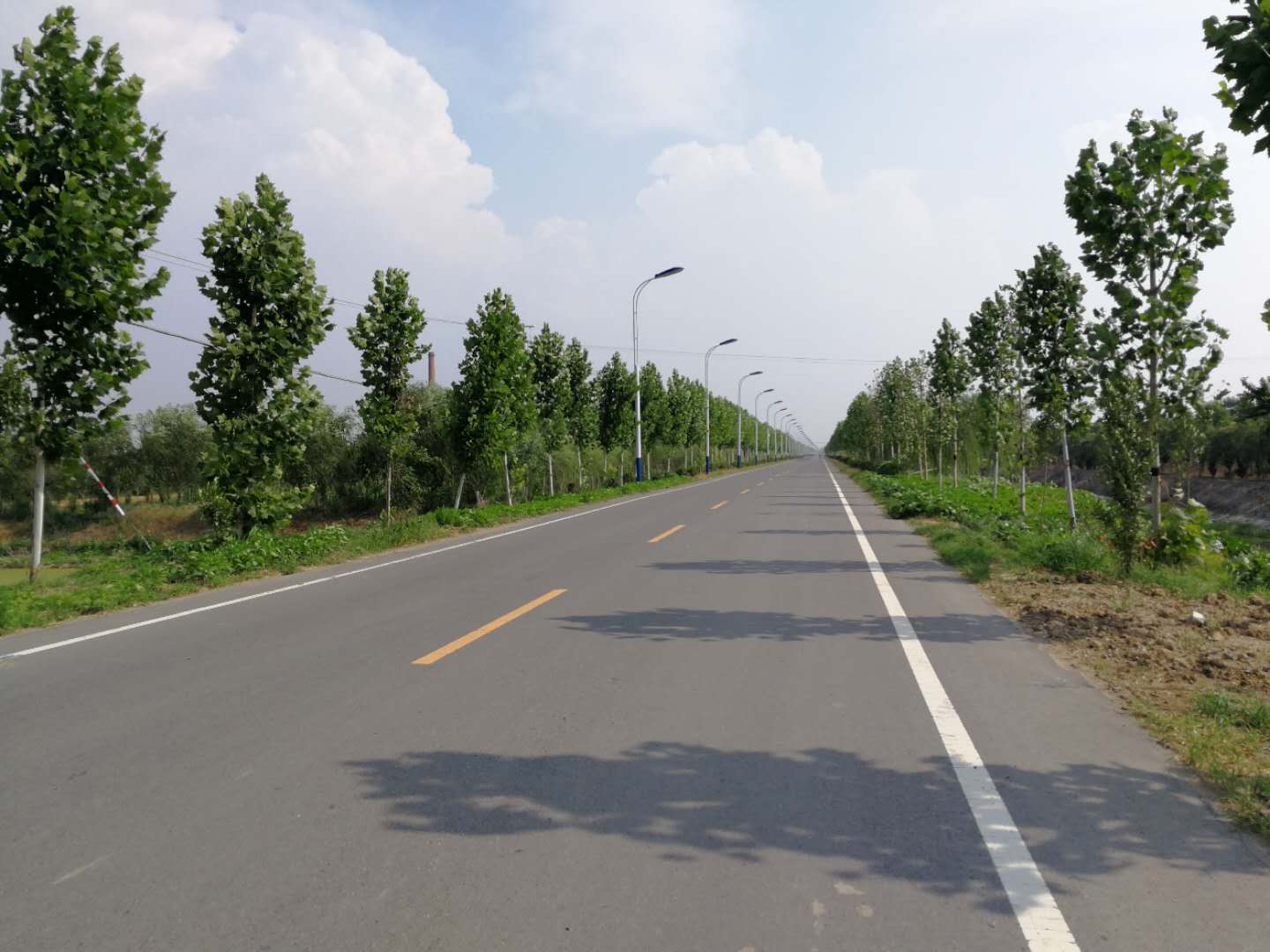 江苏印发高质量建设“四好农村路”指导意见 精准导航到村组 出行服务“一键按”